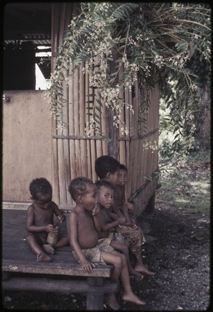 Young children on veranda of Hutchins&#39; house