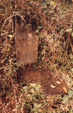 Grave of Anthropologist Arthur Bernard Deacon