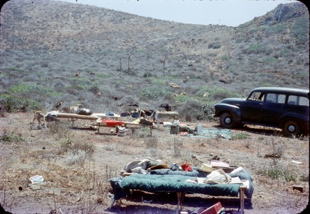 A camp at Tampico, Baja California peninsula