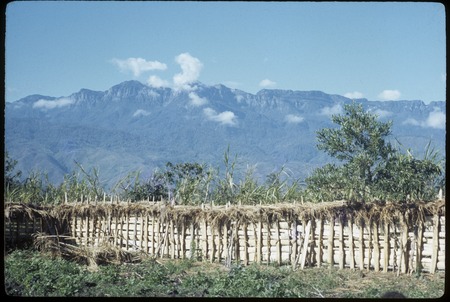 Balim Valley, mountains near Hunilama, seen over a Dani fence