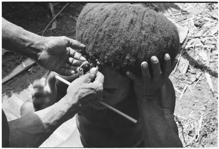 Pig festival, wig ritual, Tsembaga: man&#39;s hair is attached to wig frame