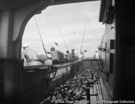 View from deck of tuna boat showing fishermen with bamboo poles and tuna