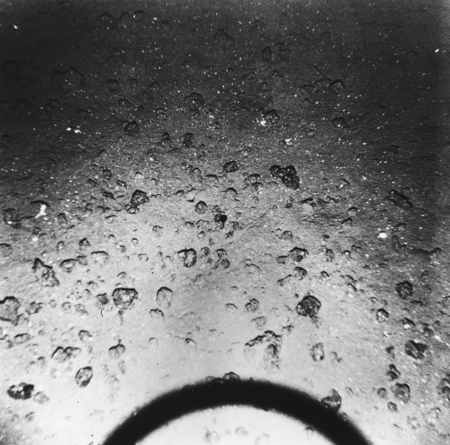 DW-P10 Photograph of Ocean Floor [Downwind Expedition, Underwater Photograph 10] Depth: 4754. Sediment type: choc. Clay. M...