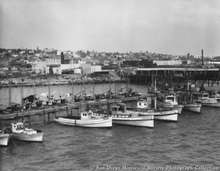 Docked tuna boats