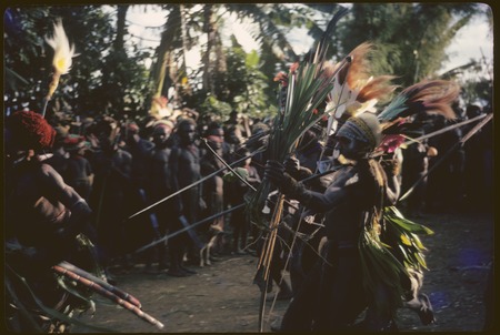 Pig festival, pig sacrifice, Kwiop: decorated men carry weapons, sugarcane, and cordyline during ritual fence breaking