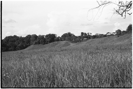 Aiome area: kunai grassland between Tabouta and Jamenke, houses on ridge