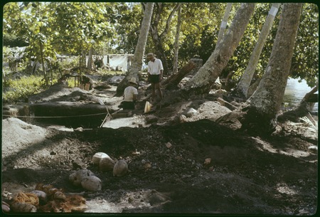 Hauiti archaeological excavation, Moorea: X50, north, men working