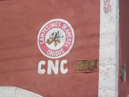 Kinchil Logo Confederacion Nacional Campesina on wall