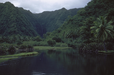 [River Tahiti]
