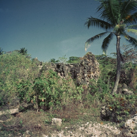 Island rock formation covered in foliage