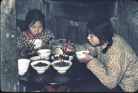 Bao Family Chidren. Phoenix Workers Village (Shanghai).