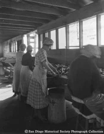 Four women cleaning fish at Neptune Sea Food Company cannery