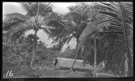 Small village in Guadalcanal island