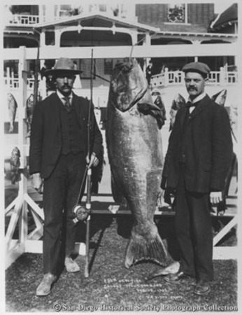 [Two men posing with giant sea bass caught off coast of Coronado, February 12, 1905]