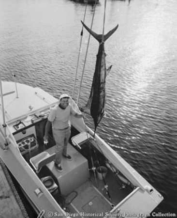 Bob Newton&#39;s marlin being hoisted from boat