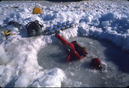 Scuba divers with bins, used during Paul Dayton&#39;s benthic ecology research project. near McMurdo Station, Antarctica. 1970s