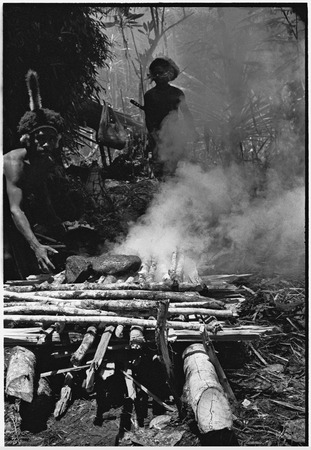 Pig festival, uprooting cordyline ritual, Tsembaga: in ancestral shrine, men heat stones on smoky fire for pandanus fruit ...