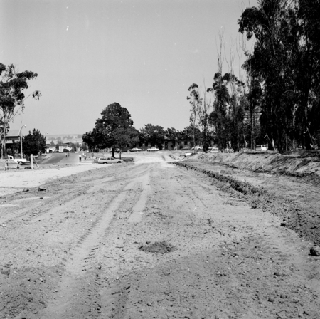 Construction of Gilman Drive on Muir campus, UC San Diego