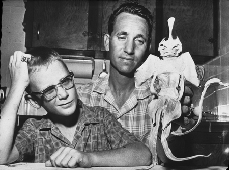 Jerry E. Baker and son with skate or guitarfish, dissected and dried to look like a &quot;Devil fish&quot; (Rhinobatos)