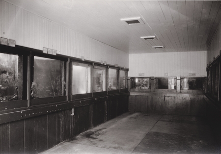 Scripps Institution of Oceanography Aquarium, October 1933