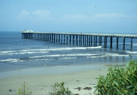 Looking northwest towards the original Scripps wooden pier on the campus of Scripps Institution of Oceanography. August 15...