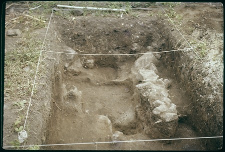 Vaiohu&#39;a archaeological excavation, Moorea
