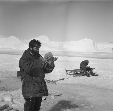 Scientist Alexander F. Pushkin with collected Antarctic sponge, diver on sledge