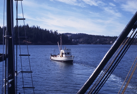 View of Onchy from [Friday Harbor] Dock