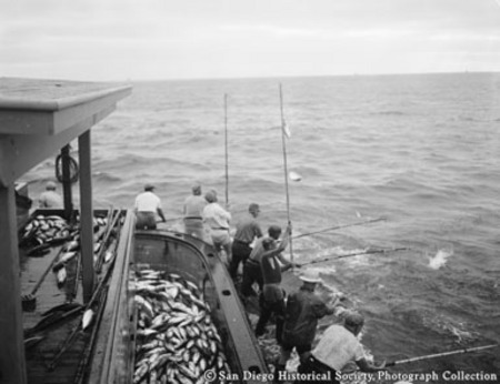 Catch of tuna on deck and fishermen pole fishing from side of boat