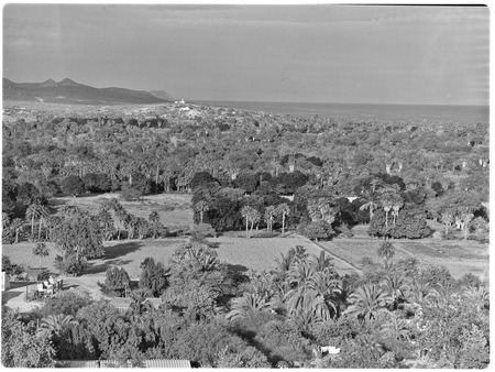 San José del Cabo