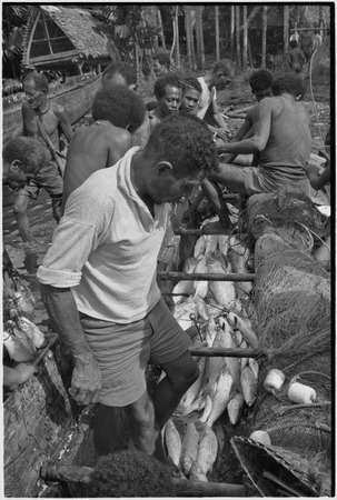Fishing: canoe hull filled with fish, net at right, people alongside to receive fish (exchange or purchase)