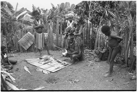 Pig festival, pig sacrifice, Tsembaga: ritual exchange of shell valuables, steel axes, and pork displayed on mat, man exam...
