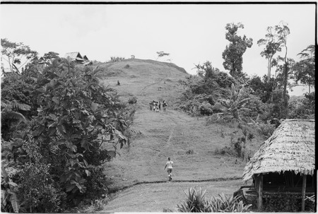 Megiranu, Wanuma Census Division: houses and trail