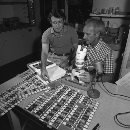 Foram Slide Study - Dr. William B.F. Ryan, left, of Lamont-Doherty Geological Observatory, and Dr. Hans M. Bolli, Geologis...