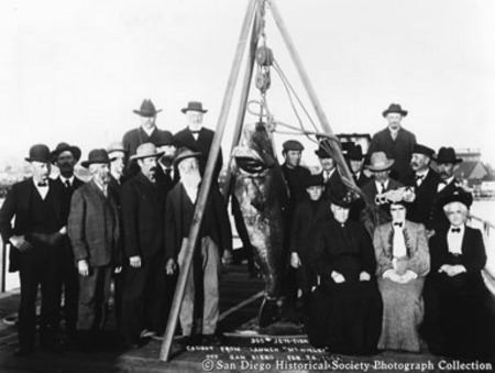 [Group of people posing with giant sea bass caught from launch McKinley]