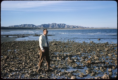Burnie Craig on Gulf, east of Persebú