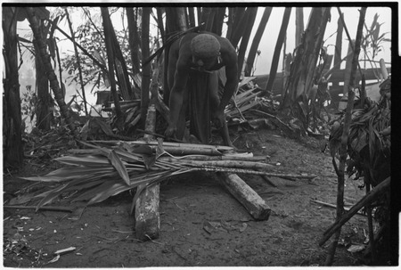 Pig festival, stake-planting, Tuguma: stakes, bamboo, cordyline and aglaonema leaves for ritual