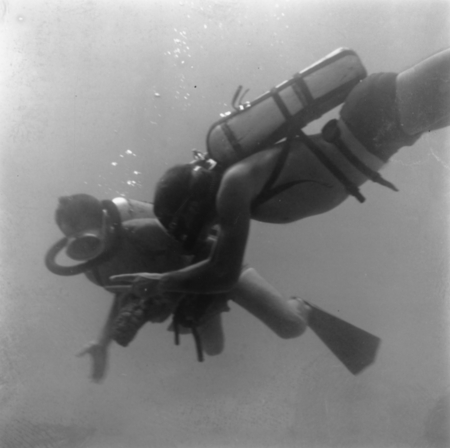 Divers near the ocean floor near Vava&#39;u Island, Tonga