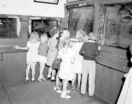 Children looking at fish in display tanks in the Scripps Aquarium
