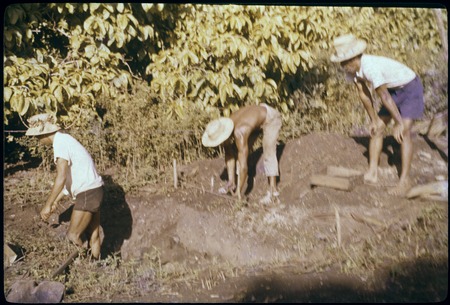 Vaiohu&#39;a archaeological excavation: Moorea: men working