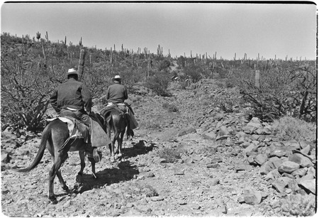 Riding up Arroyo del Parral as far as La Higuerilla