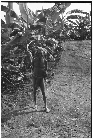 Fainjur: man next to a grove of banana trees