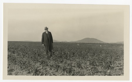 Man in field at Rancho Santa Fe
