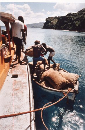 Loading cacao on cargo boat 3 of 3