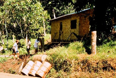 Rodmans&#39; House Under Construction 1 of 2