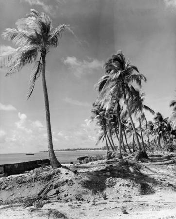 The beach on the lagoon side of Enyu Island, 1947. Note wreckage from OPERATION CROSSROADS remaining on the beach