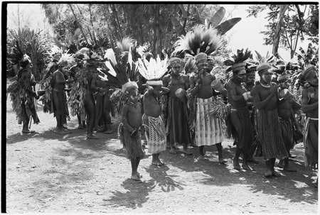 Pig festival, singsing, Kwiop: procession of drumming men and boys with feather headdresses