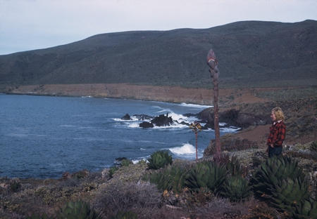 Elizabeth M. Kampa looking north, Bahia Santo Tomas, Baja California, Mexico