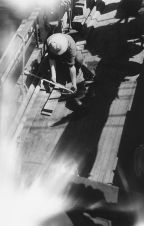 #3: Loye Holmes Miller examines bird lying on deck of R/V E.W. Scripps