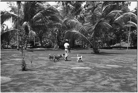 Ambaiat: luluai (government-appointed leader) of Rororabau with Ambaiat dogs